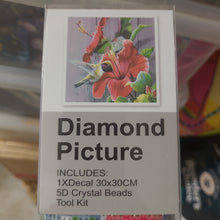 Cargar imagen en el visor de la galería, Clearance Diamond Paintings