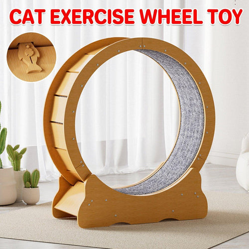 Cat Exercise Wheel Toy - Running Treadmill Exerciser Scratcher Board