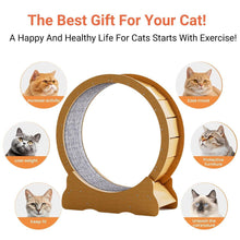 Load image into Gallery viewer, Cat Exercise Wheel Toy - Running Treadmill Exerciser Scratcher Board
