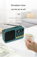 Load image into Gallery viewer, Portable Digital Music Player &amp; FM Radio,4 Playback Modes, LED Flashlight(Green)