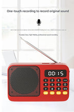 Load image into Gallery viewer, Portable Digital Music Player &amp; FM Radio,4 Playback Modes, LED Flashlight(Blue)