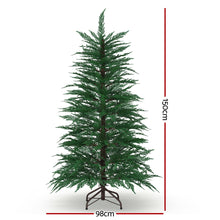 Load image into Gallery viewer, Jingle Jollys Christmas Tree 1.5M LED Xmas Tree Sparse 263 Tips Party Decoration