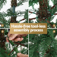 Load image into Gallery viewer, Jingle Jollys Christmas Tree 1.5M LED Xmas Tree Sparse 263 Tips Party Decoration