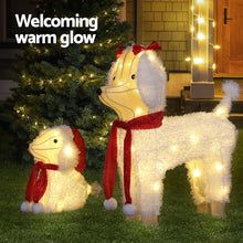 Load image into Gallery viewer, Jingle Jollys Christmas Lights 60 LED Fairy Light 2pcs Dog Decorations Set