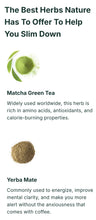 Load image into Gallery viewer, Peach Detox Tea - 12 all natural ingredients - 28 Tea Bags