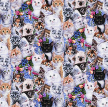 Load image into Gallery viewer, Cute Kittens