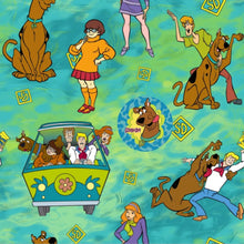 Load image into Gallery viewer, Scooby Doo1