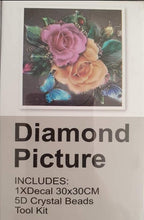 Load image into Gallery viewer, Clearance Diamond Paintings