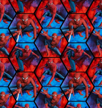 Load image into Gallery viewer, Spiderman