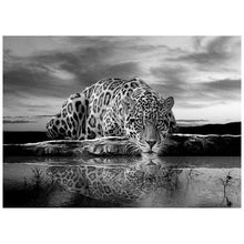 Charger l&#39;image dans la galerie, 5D DIY Black &amp; White Leopard Diamond Painting