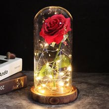 Laden Sie das Bild in den Galerie-Viewer, LED Enchanted Galaxy Roses With Fairy String Lights In Dome