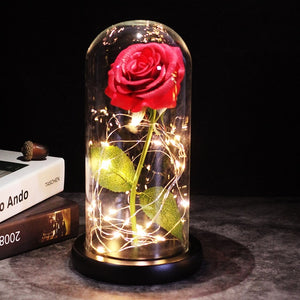 LED Enchanted Galaxy Roses With Fairy String Lights In Dome