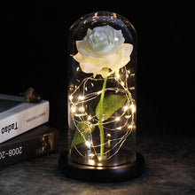 Carica l&#39;immagine nel visualizzatore di Gallery, LED Enchanted Galaxy Roses With Fairy String Lights In Dome