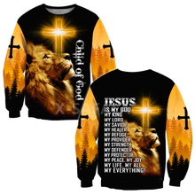 Cargar imagen en el visor de la galería, Jesus Christ Lion With Cross 3D Printed Sweatshirts/Hoodies - Unisex