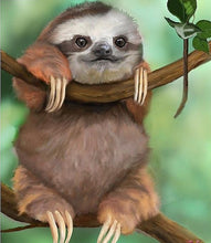Cargar imagen en el visor de la galería, 5D DIY Cute Sloth Diamond Paintings - Assorted Sizes